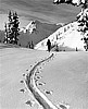 Woman Skier, Matted 11"x14"