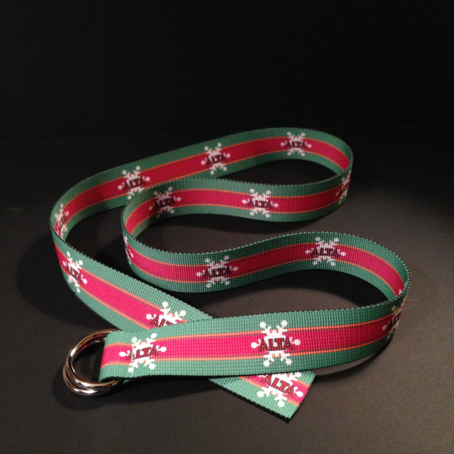 Pink and Green Alta Belt with Alta Logos