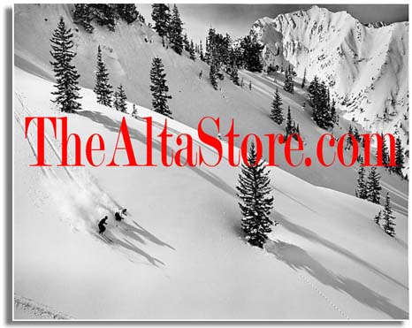 The Alta Store