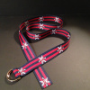 Red and Blue Alta Belt Wide Stripes